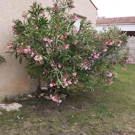 Maison Vacances D'Oleron La Brée-les-Bains Exterior photo