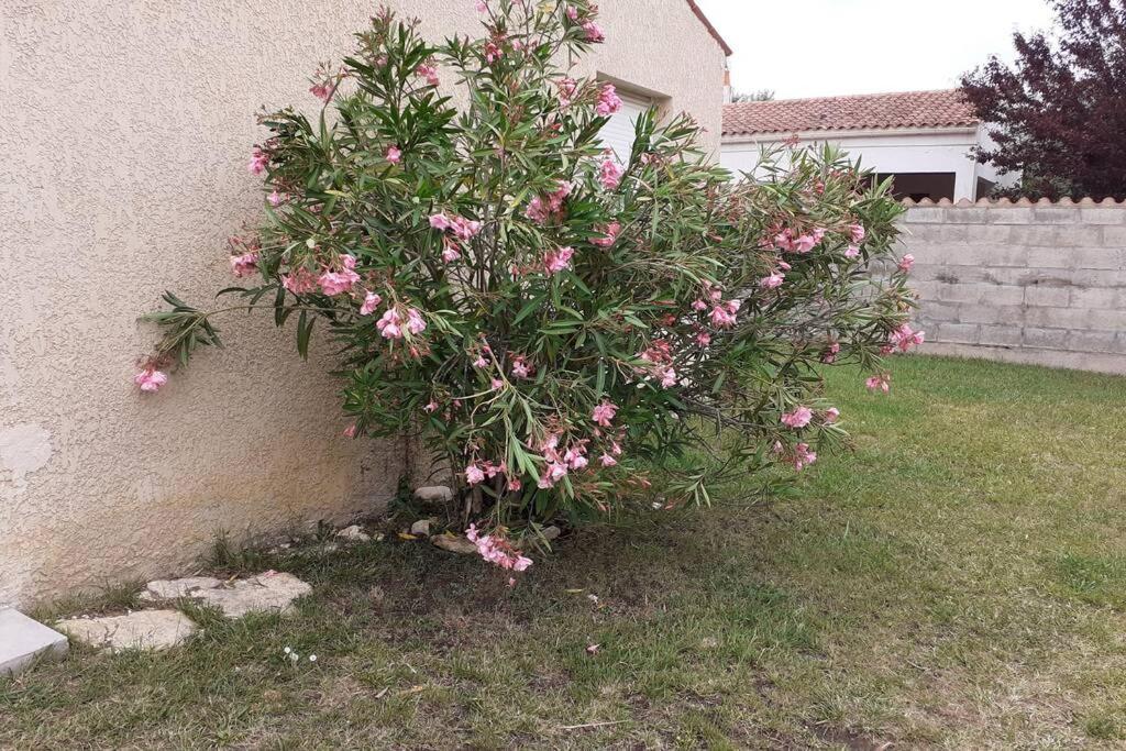 Holiday home Maison D'oleron
